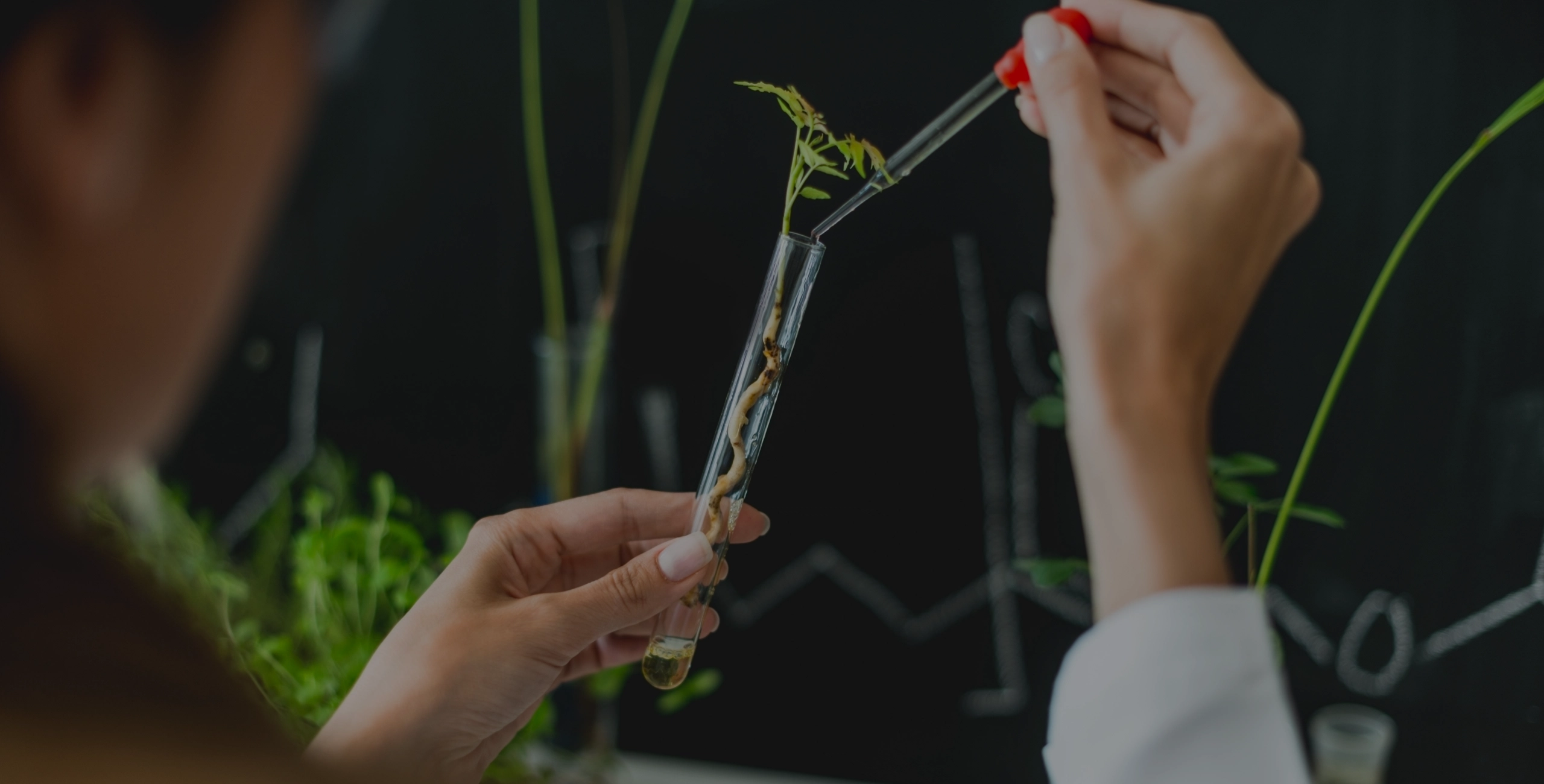 Nature Meets
Science