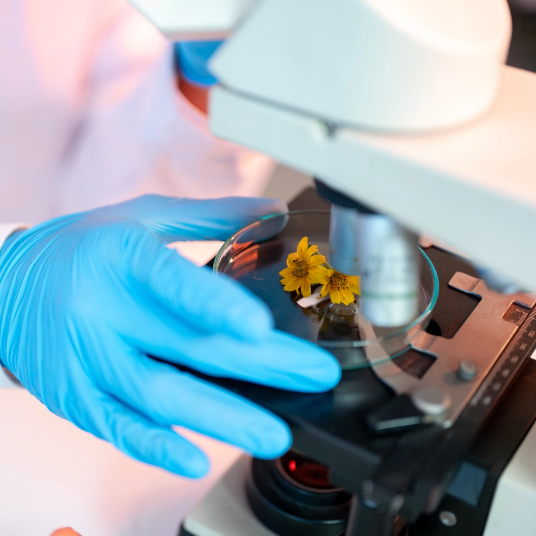 Clinical Validation