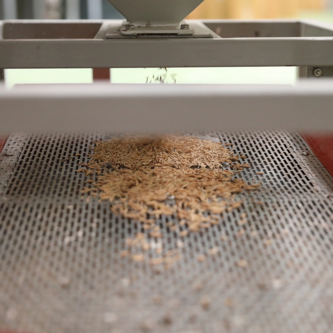 Microbiological & Heavy Metal Screening